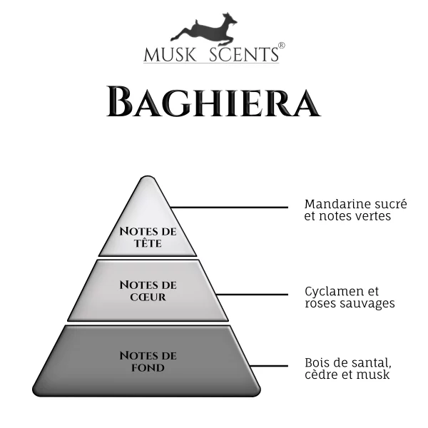 Pyramide olfactif-baghiera Pyramide olfactif-baghiera