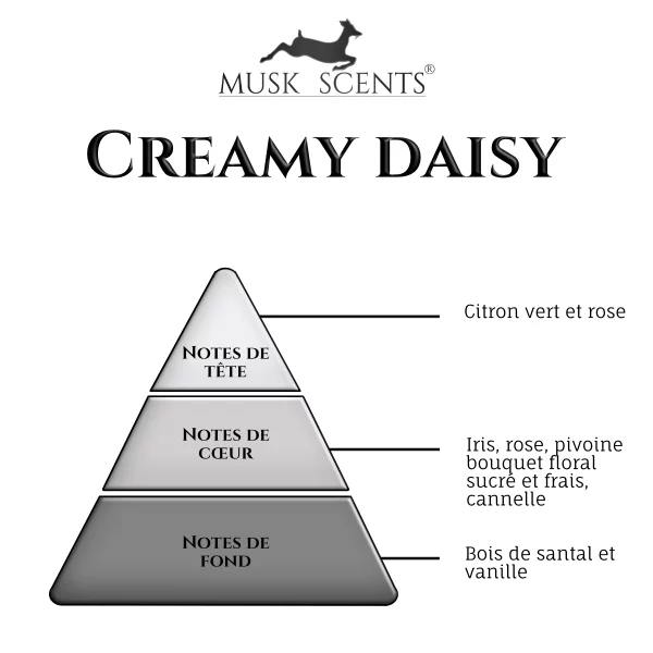 olfactif-creamy-daisy