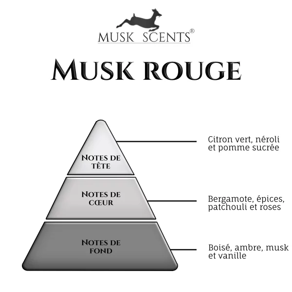 Pyramide olfactif-musk-rouge Pyramide olfactif-musk-rouge