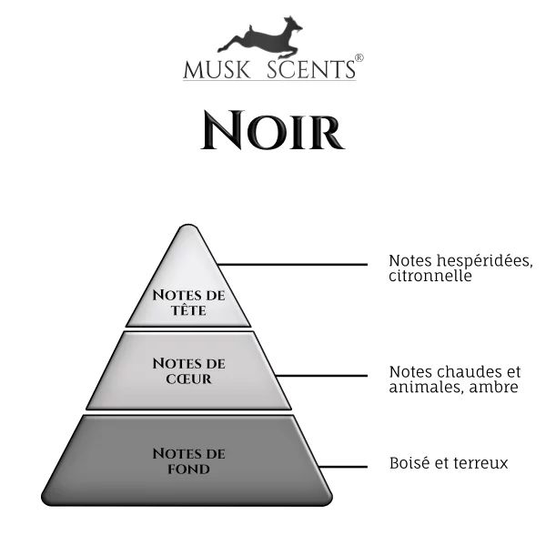 pyramide olfactif-noir pyramide olfactif-noir