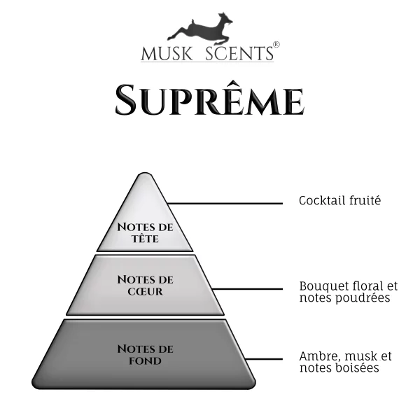 pyramide olfactif-suprême pyramide olfactif-suprême