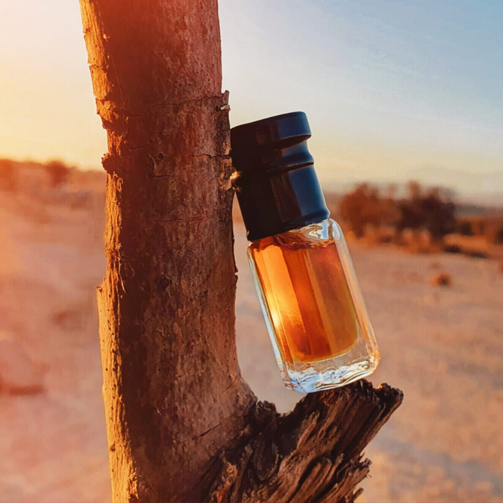 Collection Musc Parfums Musk Scents