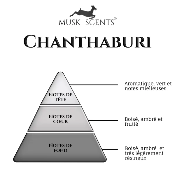 olfactif-chanthaburi olfactif-chanthaburi