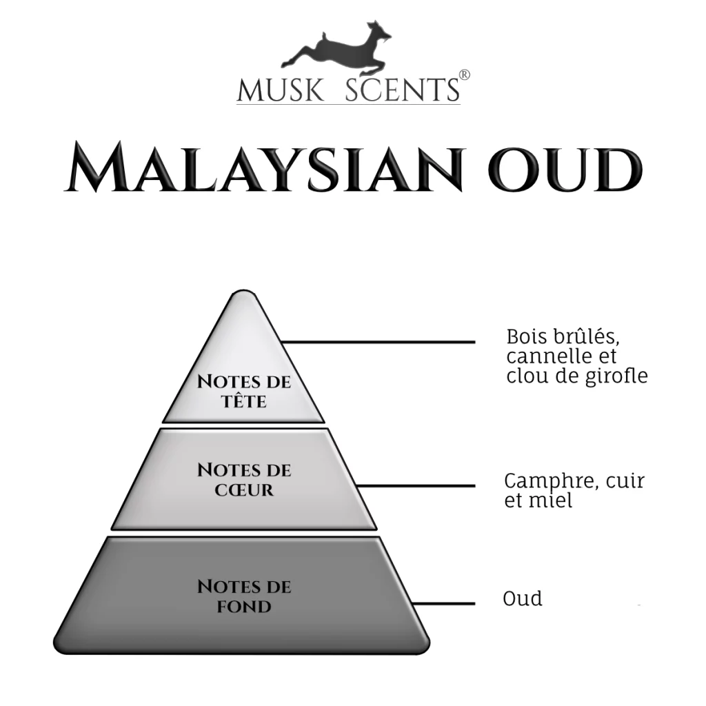 Pyramide olfactive de l’huile de oud Malaysian oud