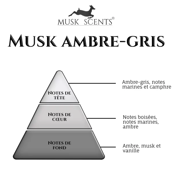 olfactif-musk-ambre-gris olfactif-musk-ambre-gris