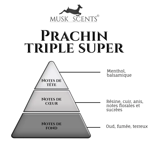 olfactif-prachin-triple-super olfactif-prachin-triple-super
