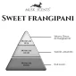 olfactif-sweet-frangipani
