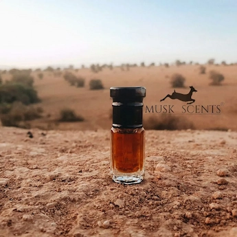 Photo musc parfum homme