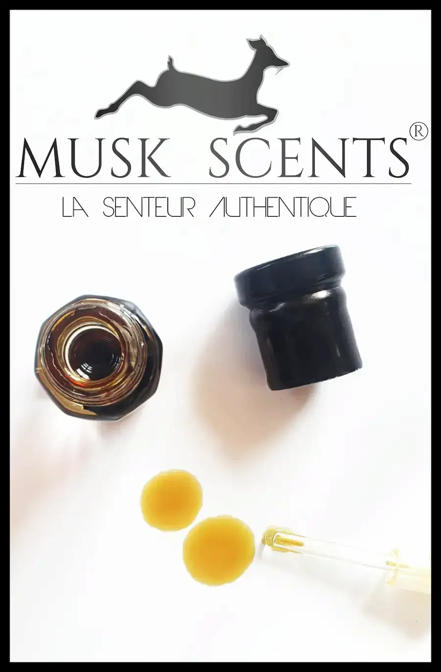 Bannière muslscents, maison de parfum et musc d'exception